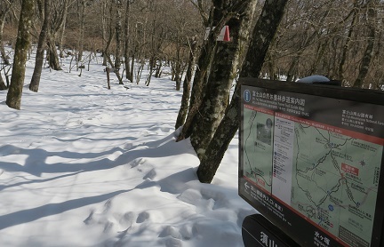 a0158702_07500143.jpg