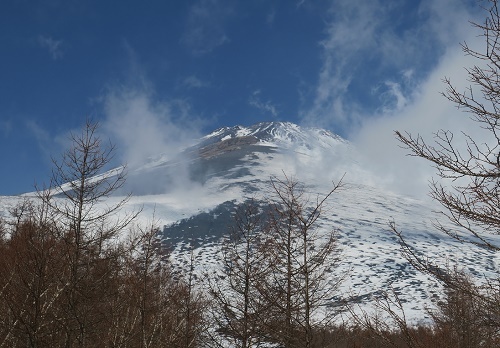 a0158702_07532994.jpg