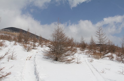 a0158702_07544186.jpg