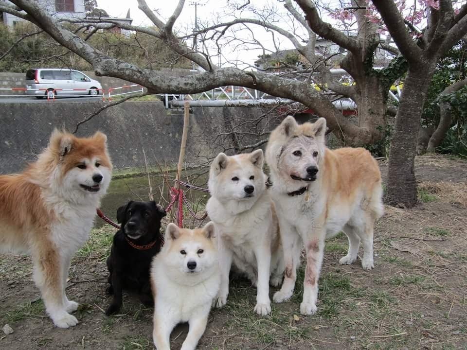 b0285010_21475228.jpeg