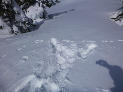 2018.2.26  武尊山登山！_a0236914_18362811.jpg