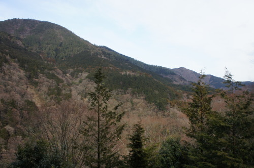 【箱根 伊豆旅行④ エクシブ箱根離宮 お部屋】_f0215714_17180668.jpg