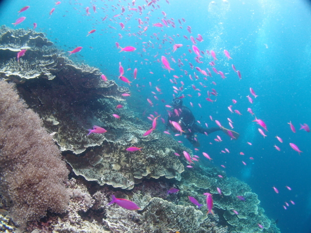 c0115421_20421482.jpg