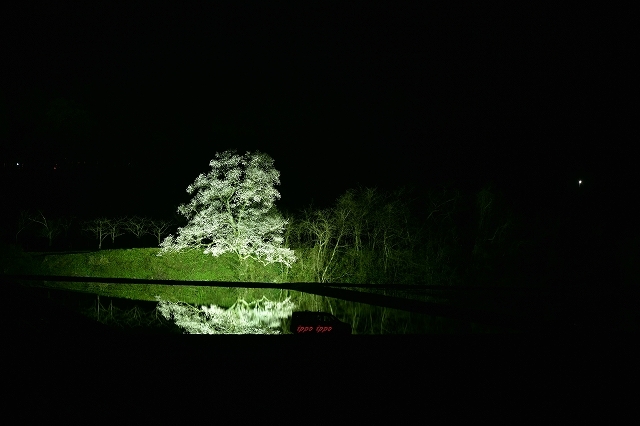 d0362223_20181770.jpg