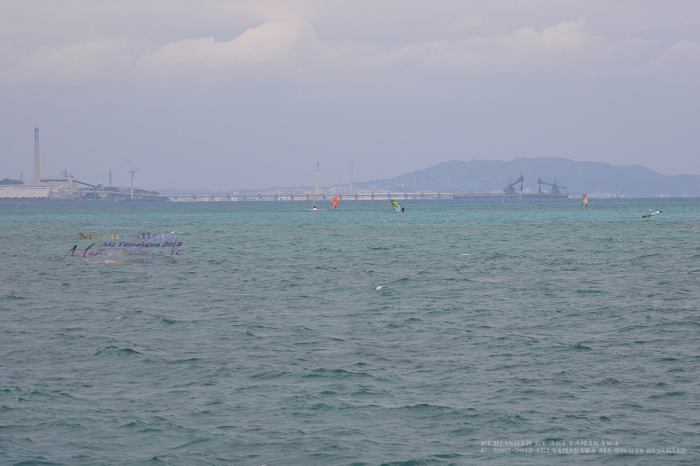 まゝに/2月の散策/Okinawa9_d0342426_21404765.jpg