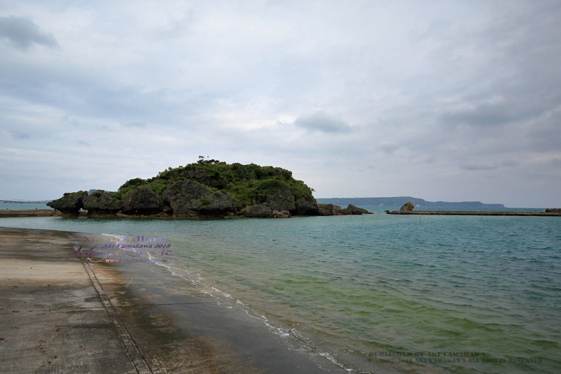 まゝに/2月の散策/Okinawa9_d0342426_21512717.jpg