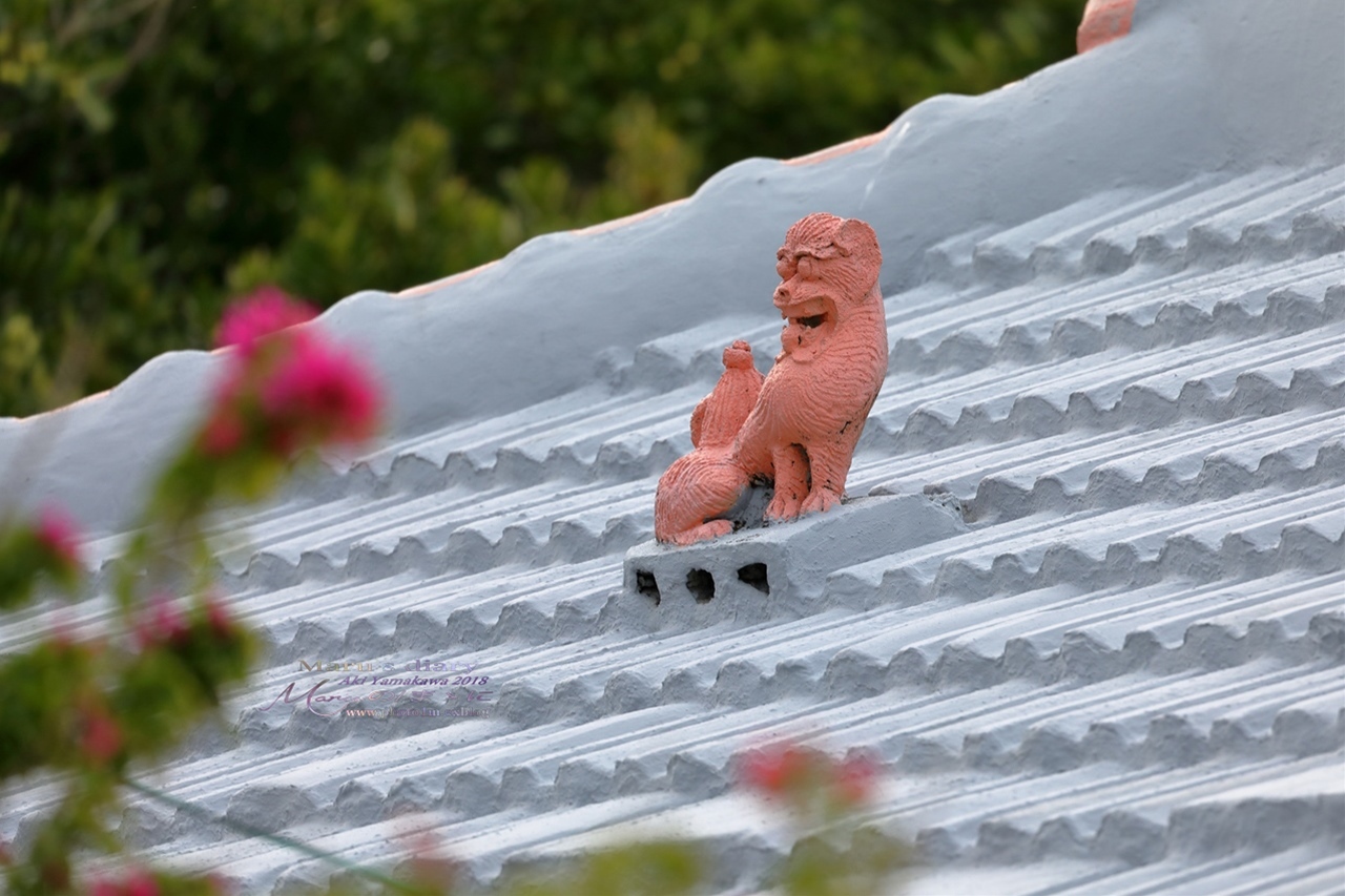 まゝに/2月の散策/Okinawa9_d0342426_22020160.jpg