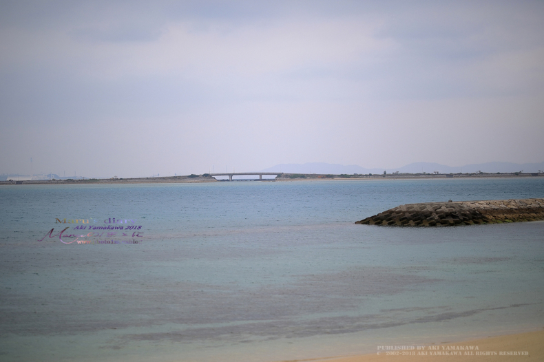 まゝに/2月の散策/Okinawa9_d0342426_22055928.jpg