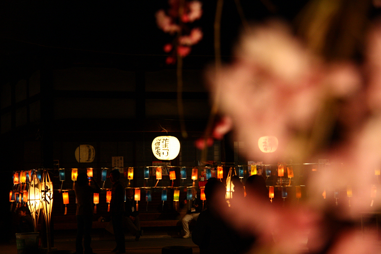 京都回顧 桜の佛光寺ライトアップ_b0169330_22424326.jpg