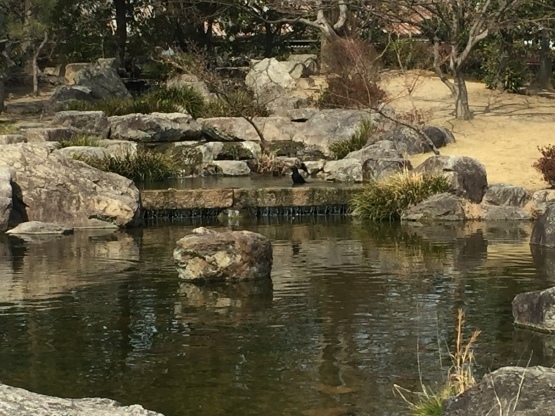 b0127531_14233713.jpg