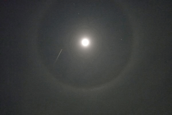c0227134_1062332.gif