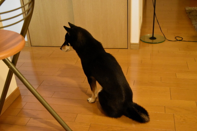 f0363156_17531085.jpg