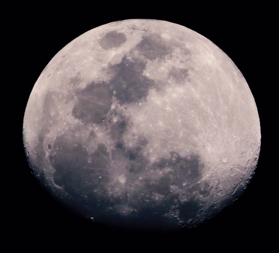 a0248459_15073758.jpg