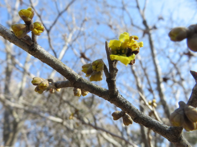 c0042869_08162055.jpg