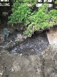 引き続き『夢は実現する』_b0034072_18132256.jpg