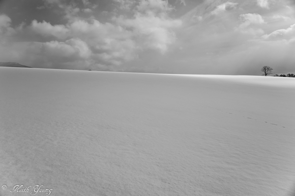 e0338273_20580268.jpg