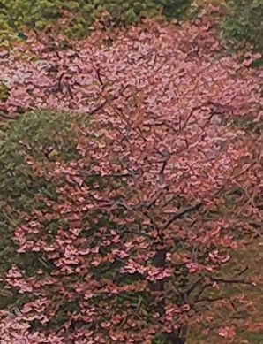 c0111581_21394932.jpg