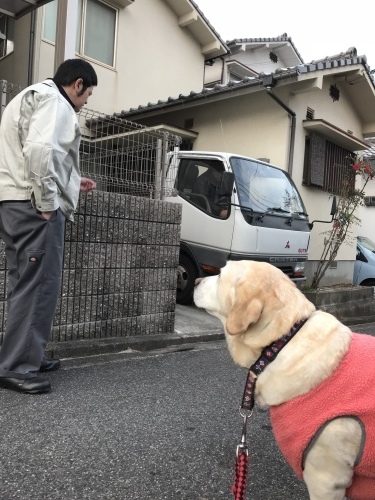 f0315081_22262032.jpeg