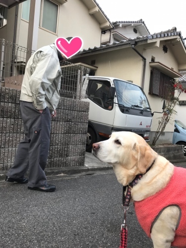 f0315081_22283843.jpeg