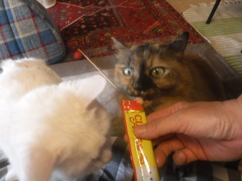 d0174683_01274251.jpeg