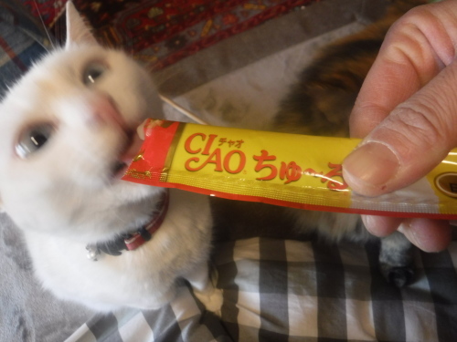 d0174683_01281470.jpeg