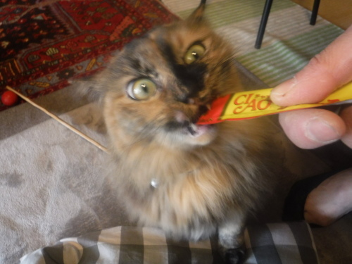 d0174683_01284274.jpeg