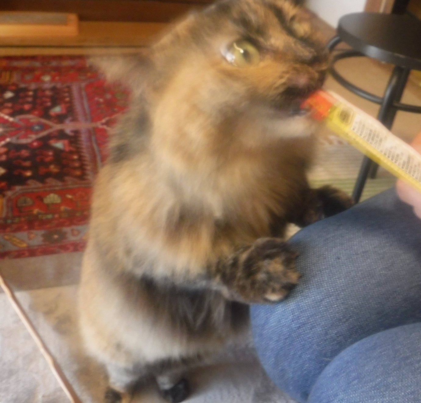 d0174683_01291498.jpeg