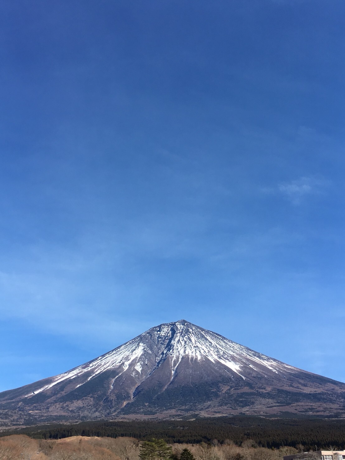 静岡県から九州へ_d0195183_09102886.jpeg