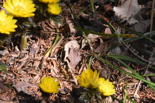b0329186_07180410.jpg