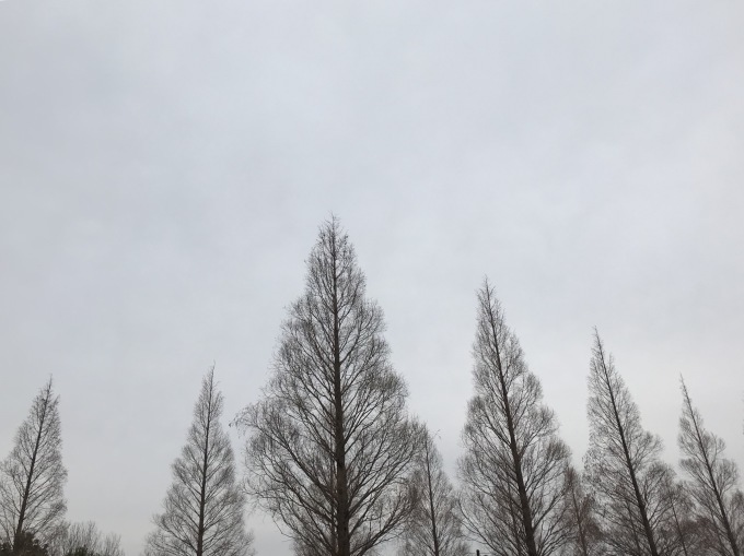 a0027290_21031318.jpeg