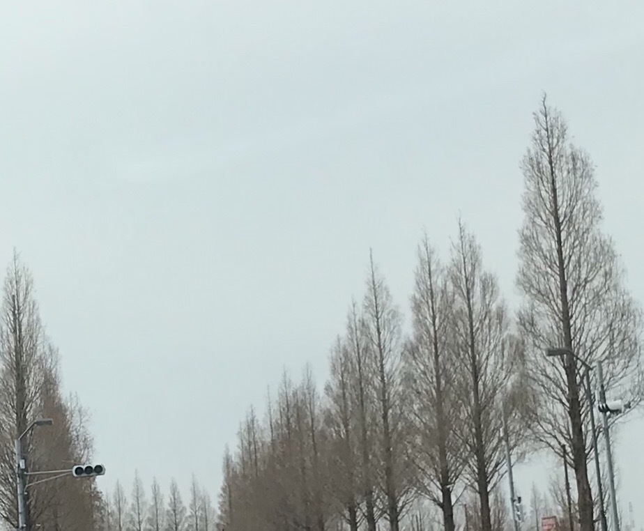 a0027290_21033080.jpeg