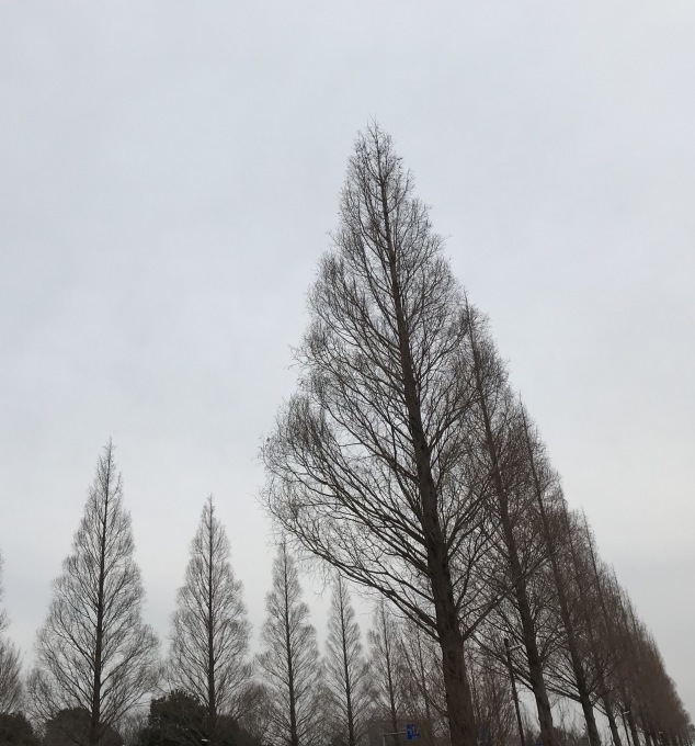 a0027290_21040354.jpeg