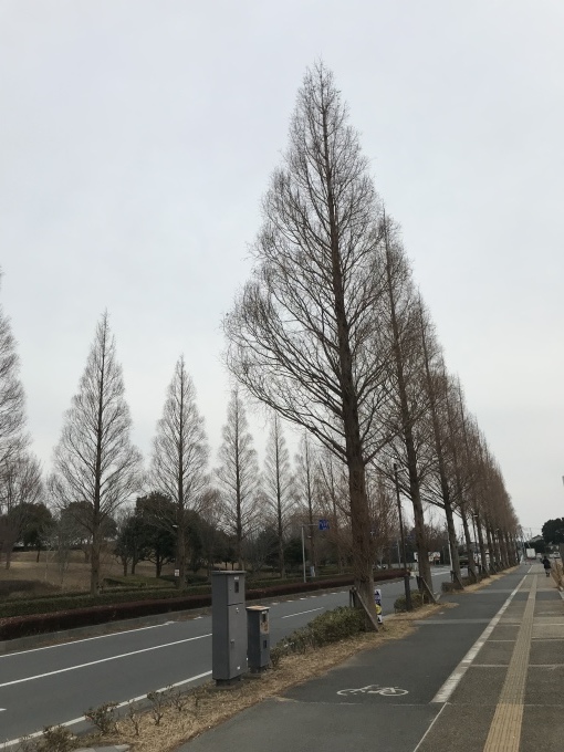 a0027290_21042287.jpeg