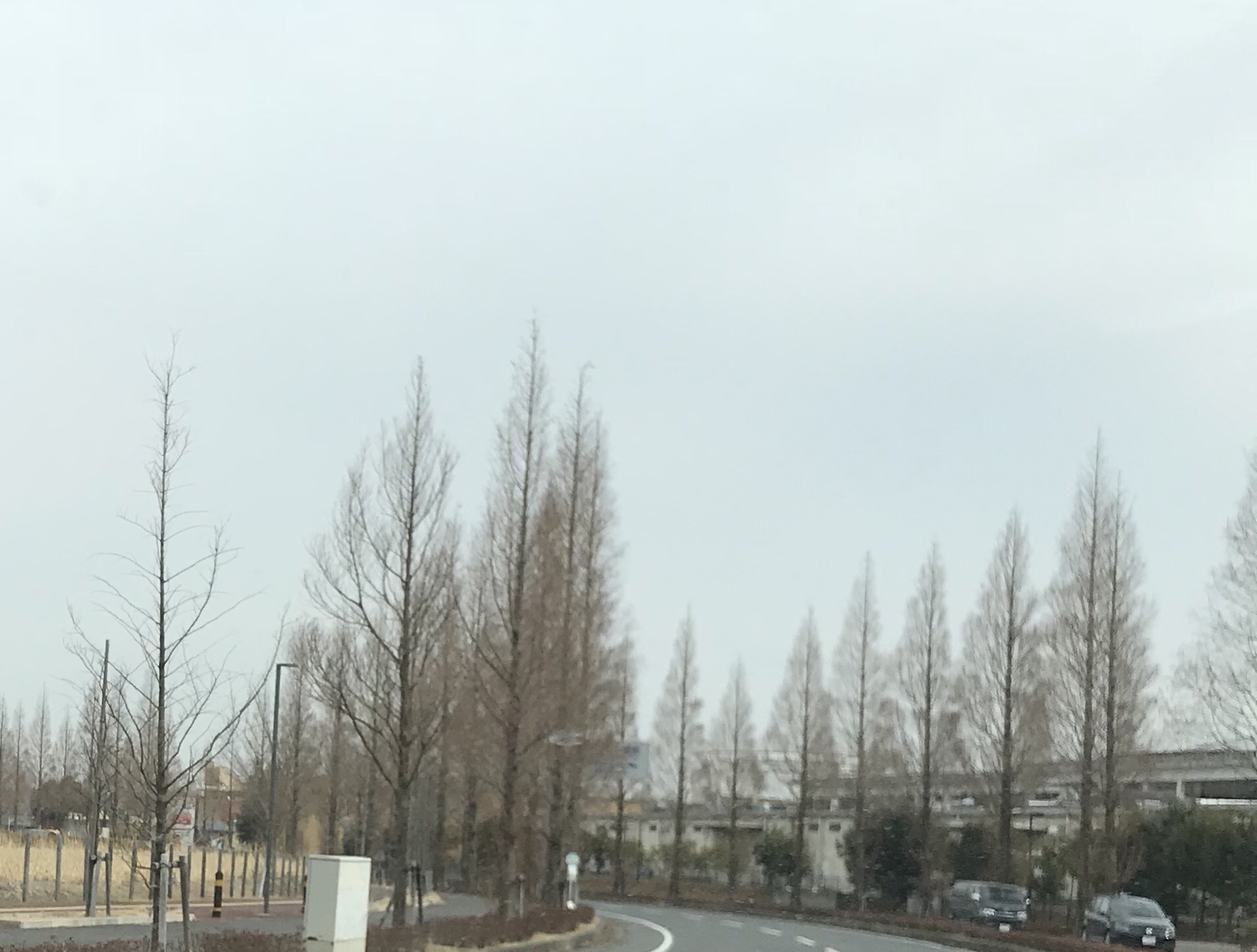a0027290_21045243.jpeg