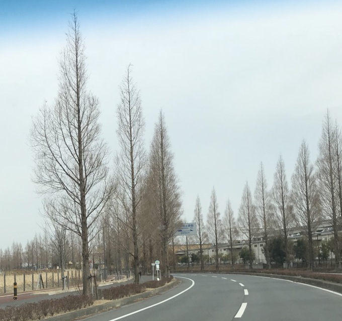 a0027290_21050313.jpeg