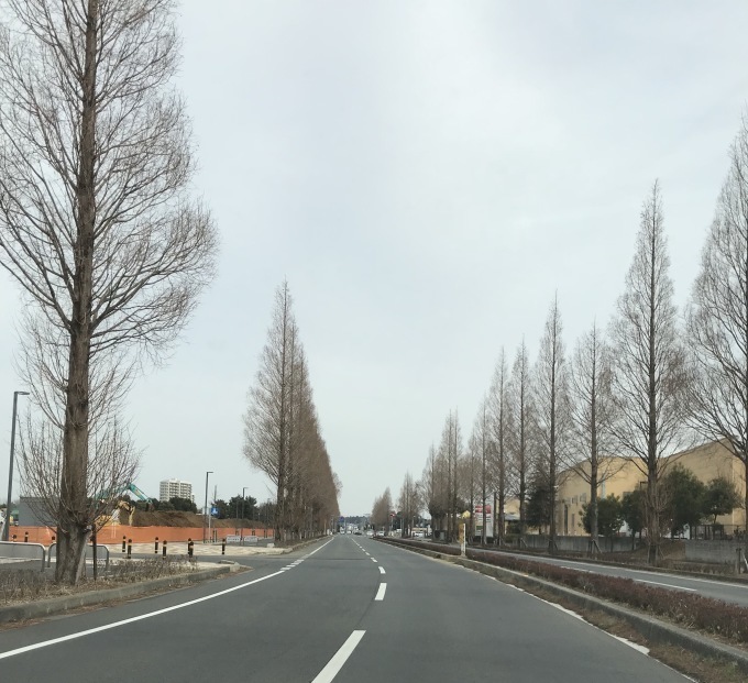 a0027290_21051755.jpeg