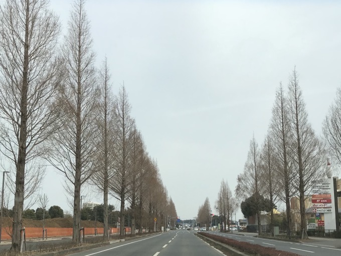 a0027290_21055486.jpeg