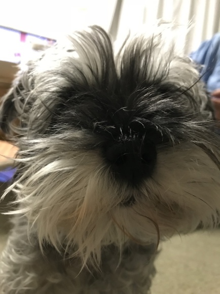 b0188998_13460293.jpeg