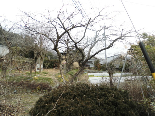c0108198_15485775.jpg