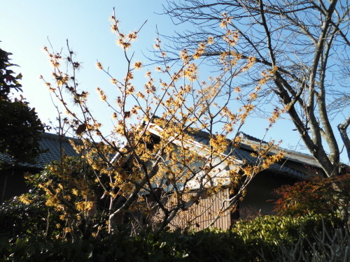 c0108198_15500872.jpg