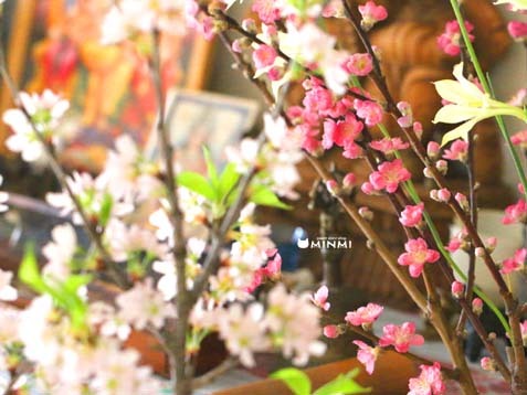 2月28日 月末ですヽ(^o^)丿_c0140599_13355555.jpg