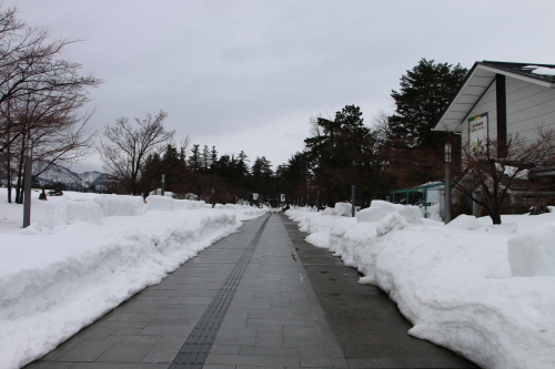 松岬公園からから米沢キャンパスへ、３月 １日・・・１_c0075701_09360525.jpg