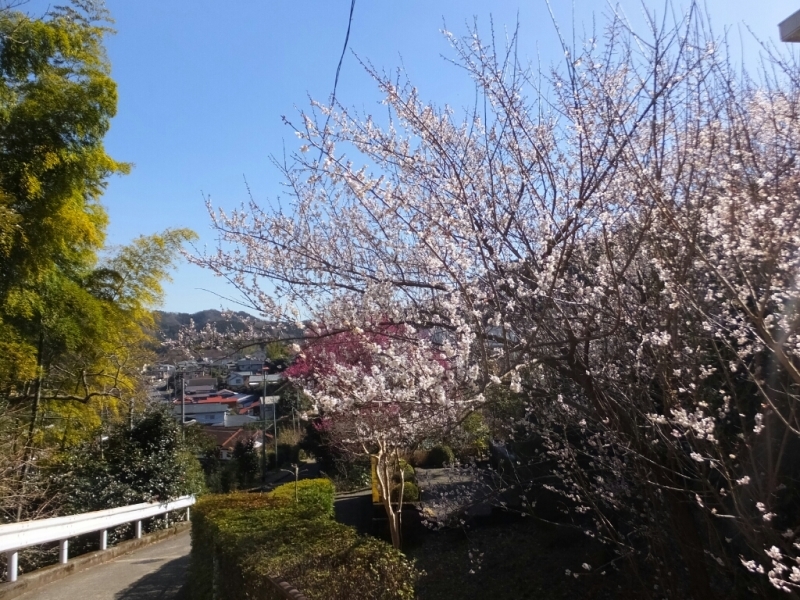 a0372902_20531235.jpg