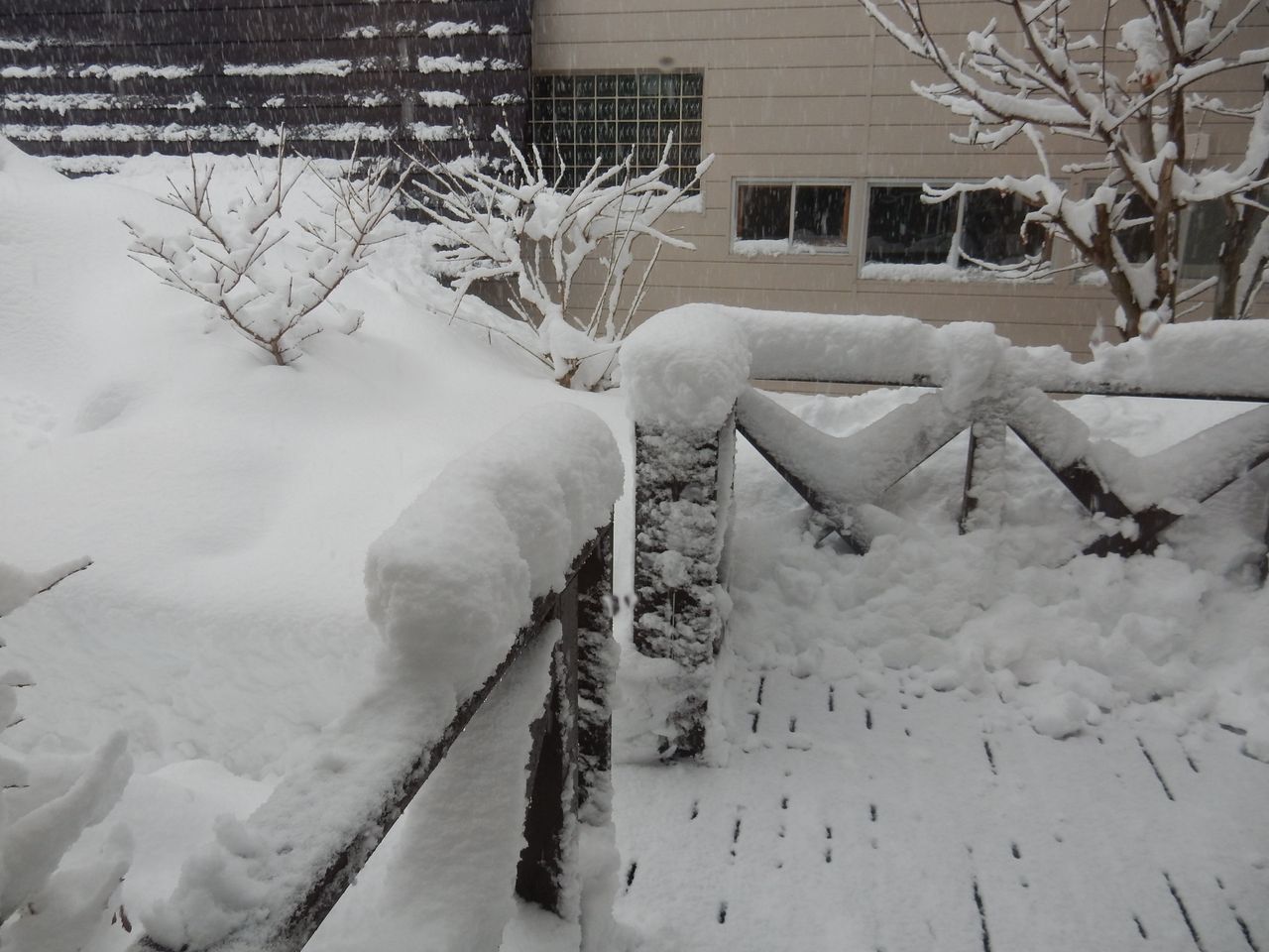 予報通りの豪雪_c0025115_22222492.jpg