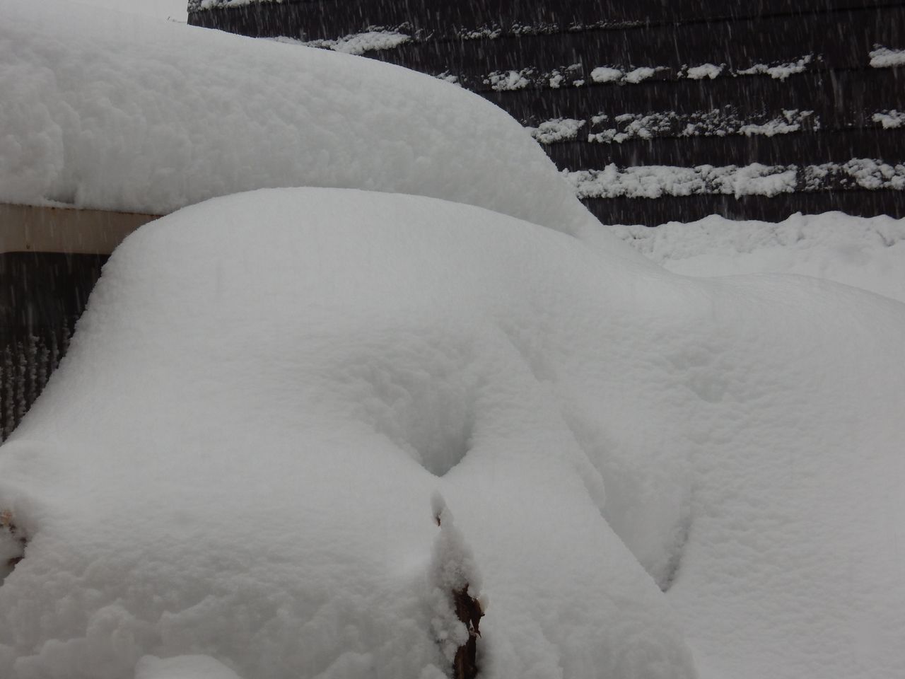 予報通りの豪雪_c0025115_22222920.jpg
