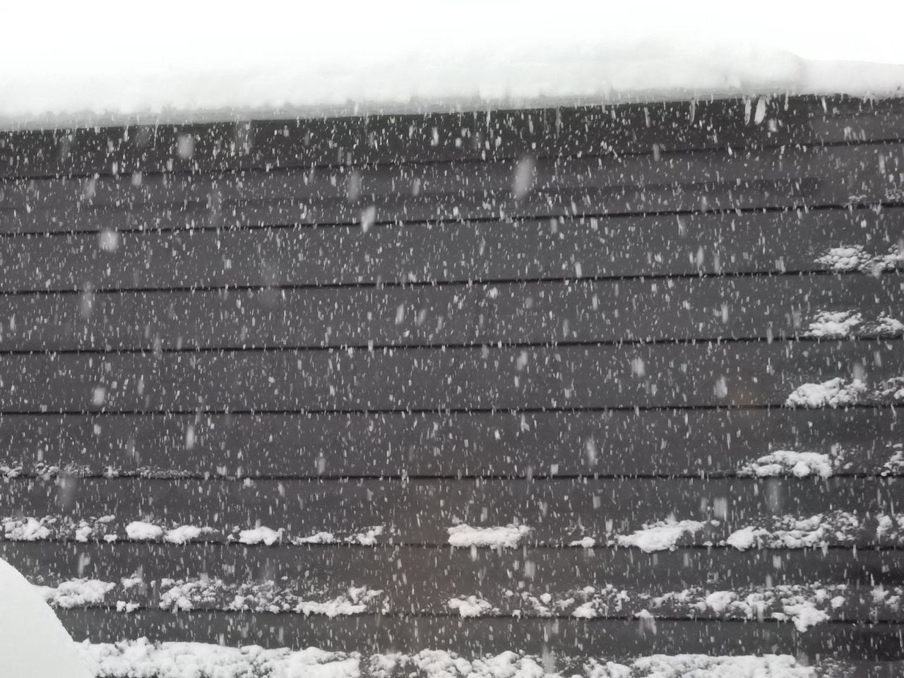 予報通りの豪雪_c0025115_22320483.jpg