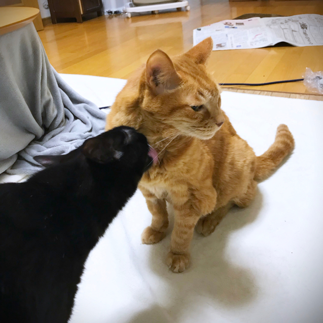 悩みながらも_d0355333_19460830.jpg