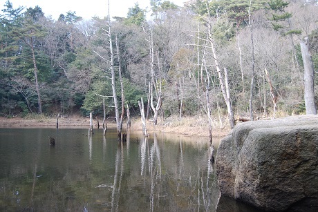 『森稲荷神社~風吹岩』岡本梅林公園の梅はまだ咲いているかな_c0218841_10465703.jpg