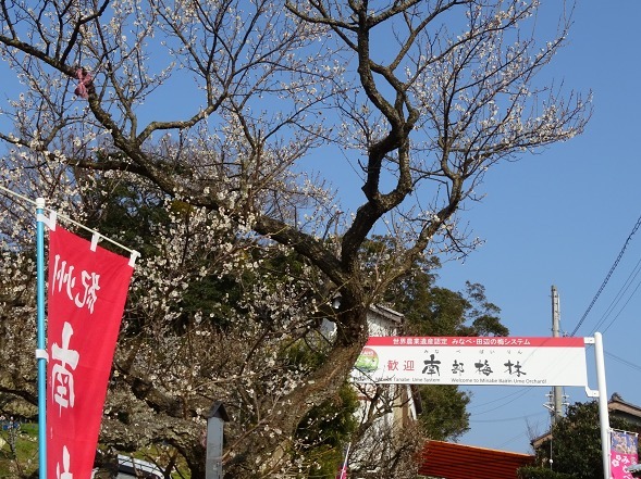 b0299042_13253554.jpg
