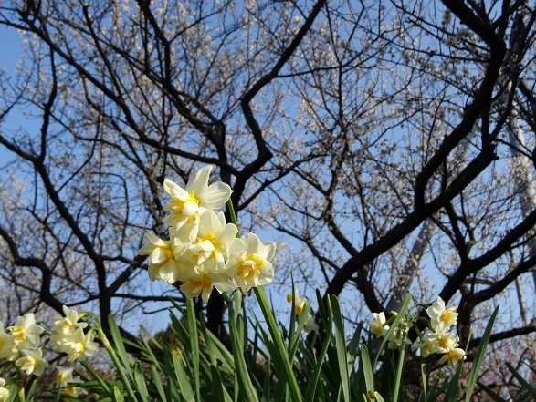 b0299042_13254433.jpg